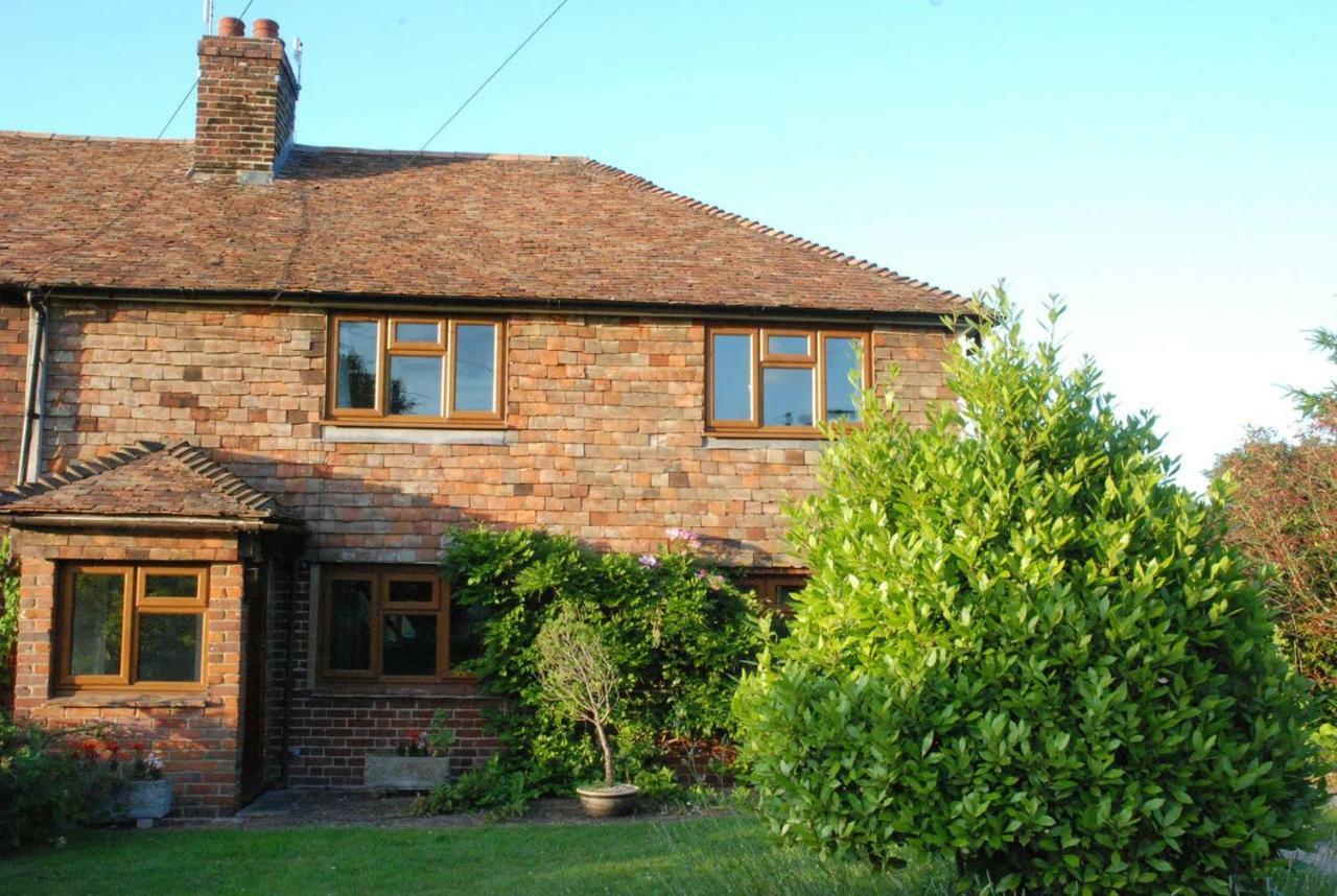 Hollyhock Cottage Ashford  Bagian luar foto