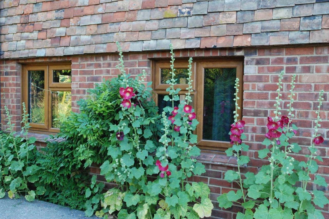 Hollyhock Cottage Ashford  Bagian luar foto